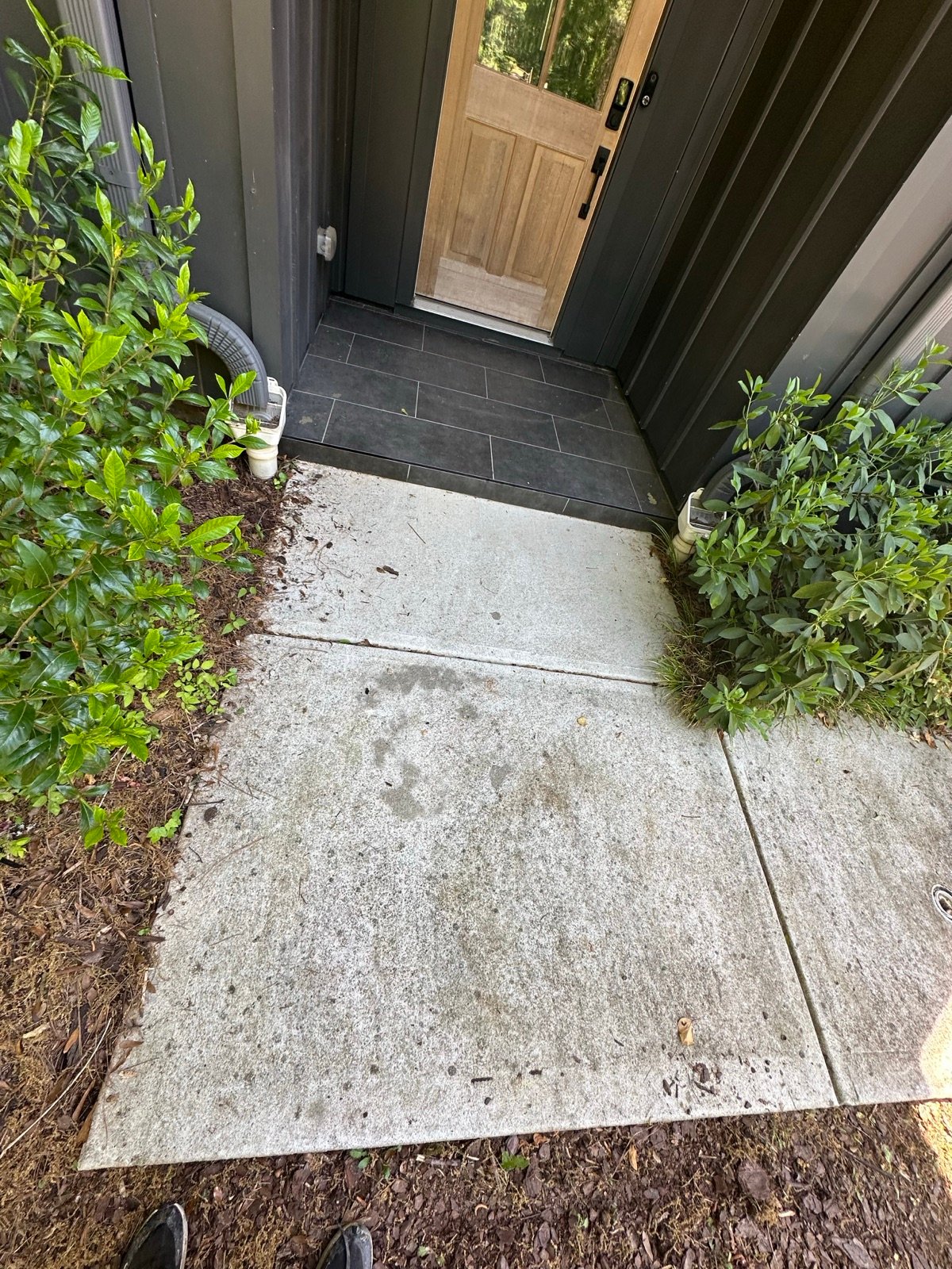 Concrete entry walkway before cleaning, stained with dark grime