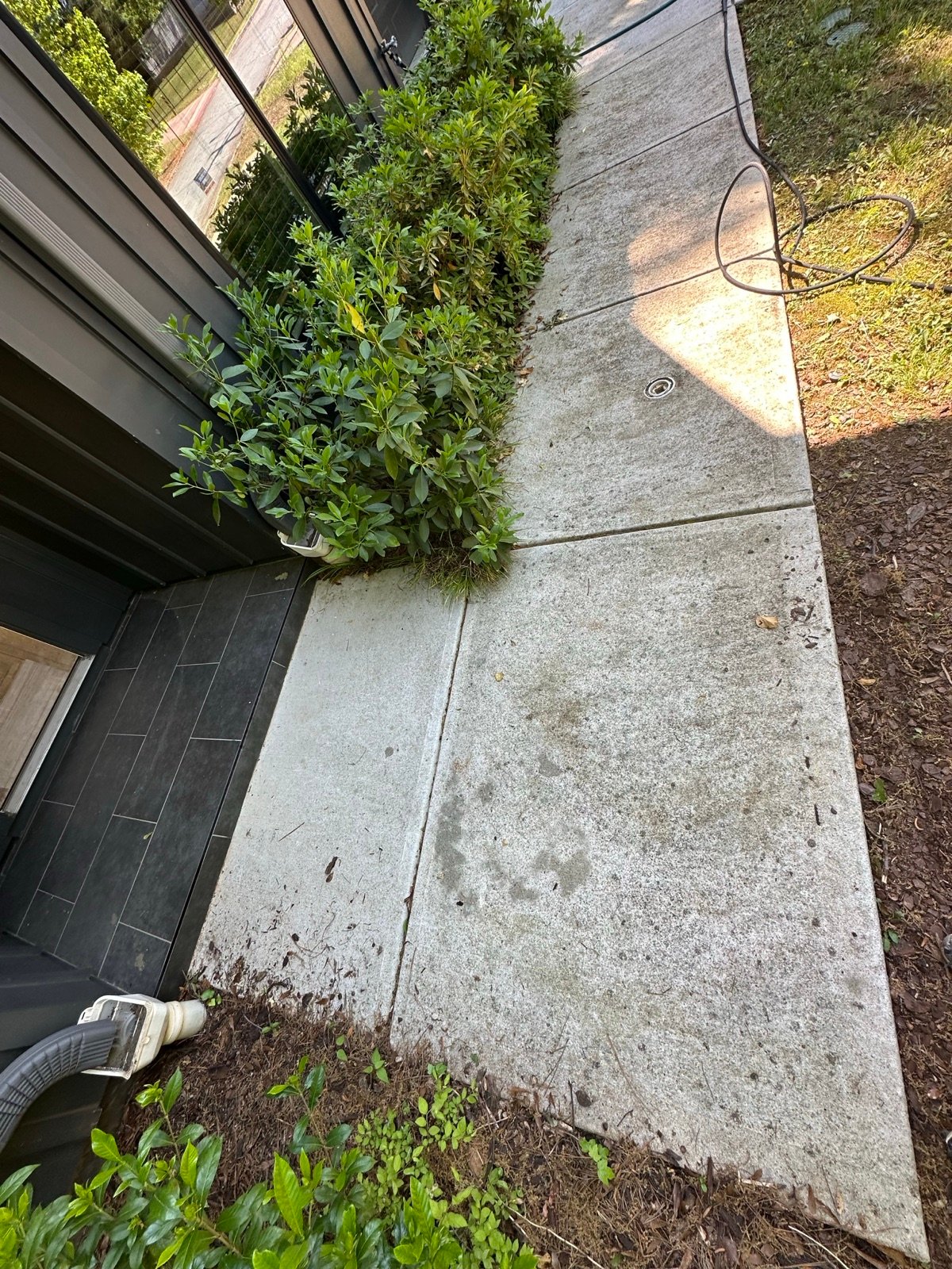 Concrete walkway before cleaning, stained with dark grime